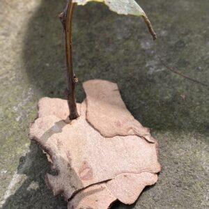 Wildes Handwerk, 20.06.2026 - 14:00h